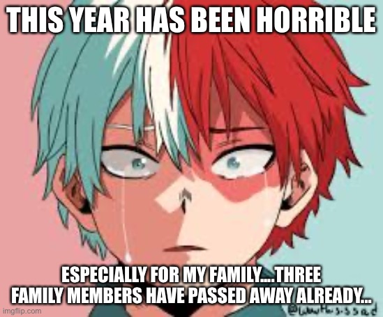 ....this year is horrible | THIS YEAR HAS BEEN HORRIBLE; ESPECIALLY FOR MY FAMILY....THREE FAMILY MEMBERS HAVE PASSED AWAY ALREADY... | made w/ Imgflip meme maker