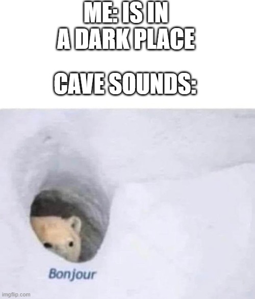 Bonjour | ME: IS IN A DARK PLACE; CAVE SOUNDS: | image tagged in bonjour | made w/ Imgflip meme maker