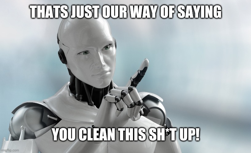 Robot pointing | THATS JUST OUR WAY OF SAYING YOU CLEAN THIS SH*T UP! | image tagged in robot pointing | made w/ Imgflip meme maker
