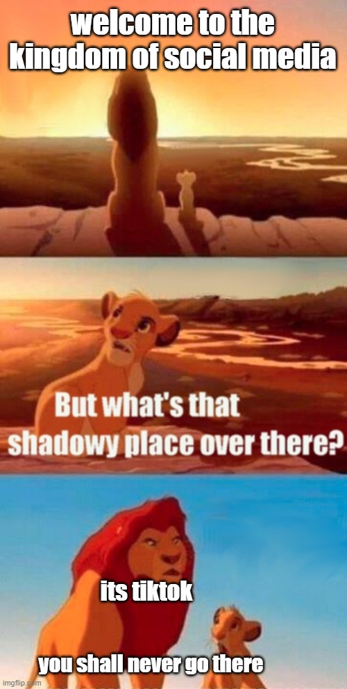 Simba Shadowy Place | welcome to the kingdom of social media; its tiktok; you shall never go there | image tagged in memes,simba shadowy place | made w/ Imgflip meme maker