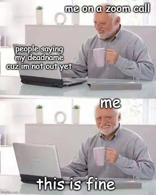 Hide the Pain Harold | me on a zoom call; people saying my deadname cuz im not out yet; me; this is fine | image tagged in memes,hide the pain harold | made w/ Imgflip meme maker