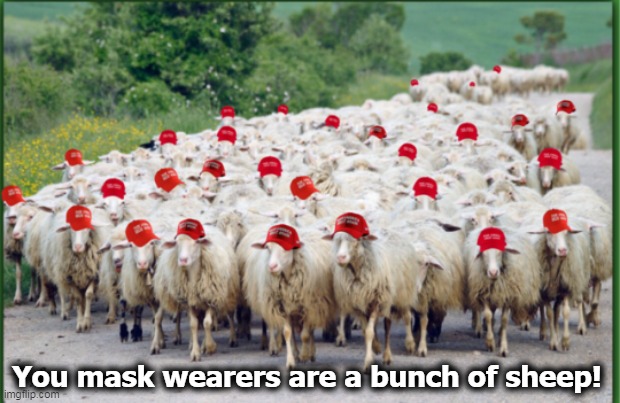 So say the MAGA hat-wearing Trumptard sheep. | You mask wearers are a bunch of sheep! | image tagged in trump rally sheepies,anti,mask,idiots | made w/ Imgflip meme maker