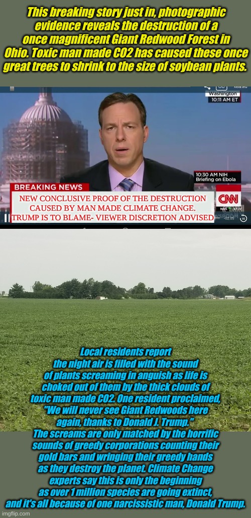 This shocking story is more proof of the destruction of Climate Change. No really it's true. Do you see any redwoods? | This breaking story just in, photographic evidence reveals the destruction of a once magnificent Giant Redwood Forest in Ohio. Toxic man made CO2 has caused these once great trees to shrink to the size of soybean plants. NEW CONCLUSIVE PROOF OF THE DESTRUCTION CAUSED BY MAN MADE CLIMATE CHANGE. TRUMP IS TO BLAME- VIEWER DISCRETION ADVISED; Local residents report the night air is filled with the sound of plants screaming in anguish as life is choked out of them by the thick clouds of toxic man made CO2. One resident proclaimed, "We will never see Giant Redwoods here again, thanks to Donald J. Trump." 
The screams are only matched by the horrific sounds of greedy corporations counting their gold bars and wringing their greedy hands as they destroy the planet. Climate Change experts say this is only the beginning as over 1 million species are going extinct, and it's all because of one narcissistic man, Donald Trump. | image tagged in cnn breaking news template | made w/ Imgflip meme maker