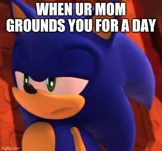 Disappointed Sonic | WHEN UR MOM GROUNDS YOU FOR A DAY | image tagged in disappointed sonic | made w/ Imgflip meme maker