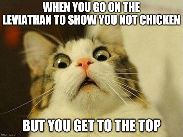 Scared Cat Meme | WHEN YOU GO ON THE LEVIATHAN TO SHOW YOU NOT CHICKEN; BUT YOU GET TO THE TOP | image tagged in memes,scared cat | made w/ Imgflip meme maker