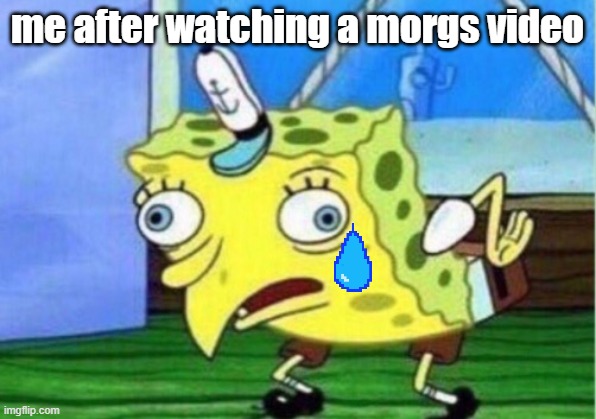 Mocking Spongebob | me after watching a morgs video | image tagged in memes,mocking spongebob | made w/ Imgflip meme maker