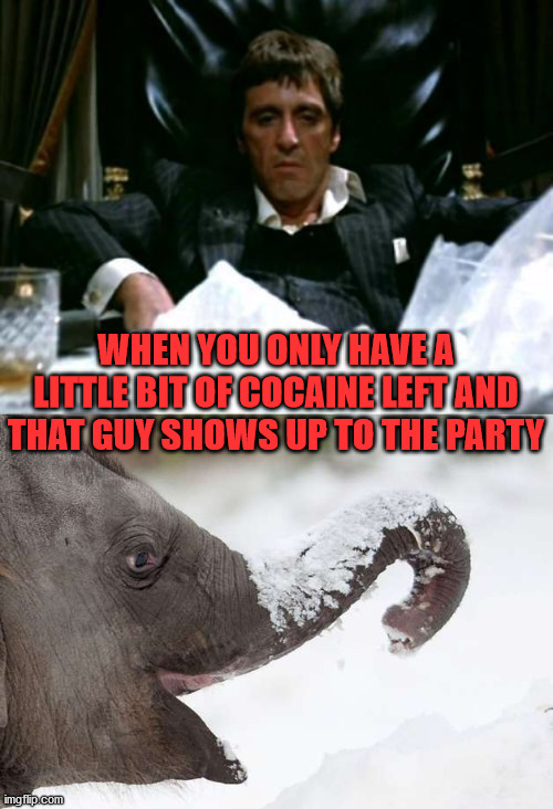 WHEN YOU ONLY HAVE A LITTLE BIT OF COCAINE LEFT AND THAT GUY SHOWS UP TO THE PARTY | image tagged in scarface cocaine | made w/ Imgflip meme maker