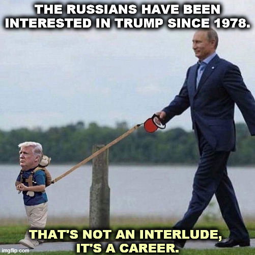 You too can own your own laundromat to wash rubles sparkling clean. | THE RUSSIANS HAVE BEEN INTERESTED IN TRUMP SINCE 1978. THAT'S NOT AN INTERLUDE, 
IT'S A CAREER. | image tagged in putin trump leash,russia,putin,trump,laundry,mafia | made w/ Imgflip meme maker