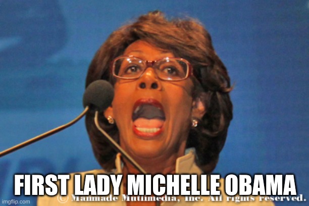 Maxine waters | FIRST LADY MICHELLE OBAMA | image tagged in maxine waters | made w/ Imgflip meme maker