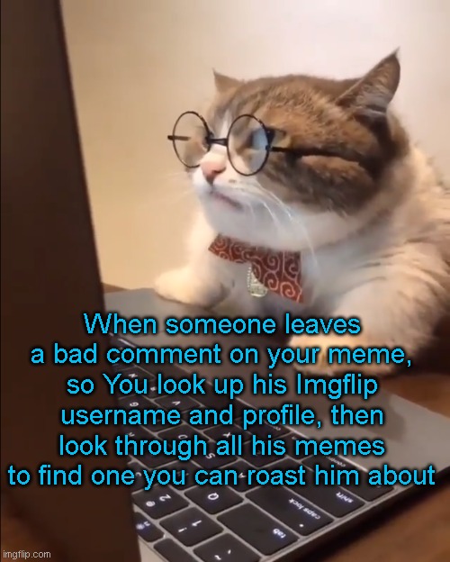 Anyone? | When someone leaves a bad comment on your meme, so You look up his Imgflip username and profile, then look through all his memes to find one you can roast him about | image tagged in research cat,roast,imgflip users,memers | made w/ Imgflip meme maker