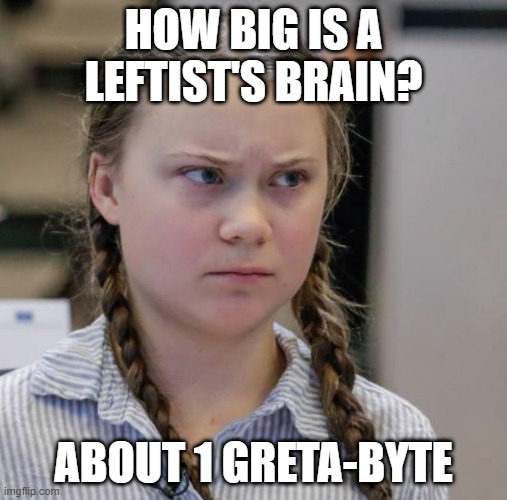 Big Brain! | HOW BIG IS A LEFTIST'S BRAIN? ABOUT 1 GRETA-BYTE | image tagged in angry greta thunberg | made w/ Imgflip meme maker