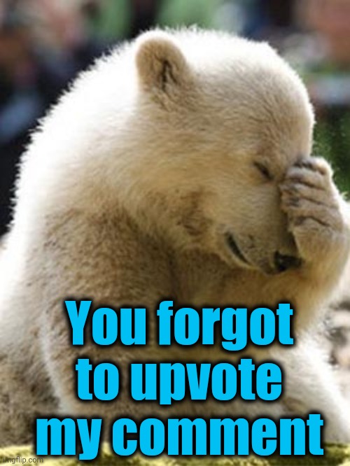 Facepalm Bear Meme | You forgot to upvote my comment | image tagged in memes,facepalm bear | made w/ Imgflip meme maker