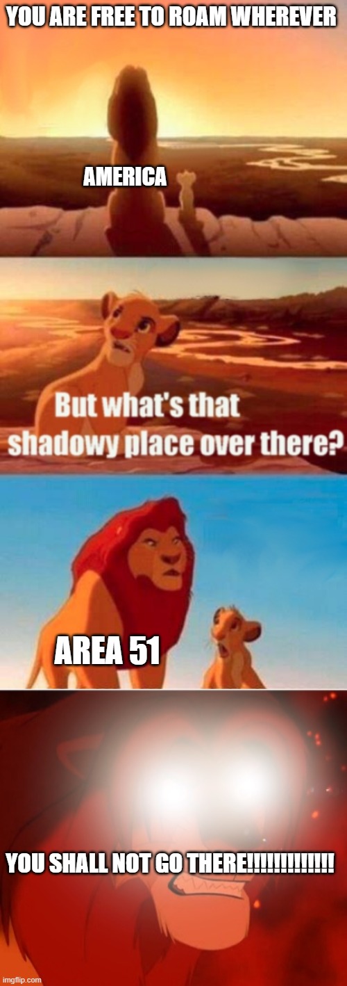 YOU ARE FREE TO ROAM WHEREVER; AMERICA; AREA 51; YOU SHALL NOT GO THERE!!!!!!!!!!!!! | image tagged in memes,simba shadowy place,angry simba | made w/ Imgflip meme maker