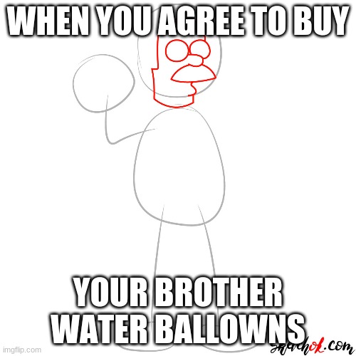 Water Balloons....... | WHEN YOU AGREE TO BUY; YOUR BROTHER WATER BALLOWNS | image tagged in ned flanders | made w/ Imgflip meme maker