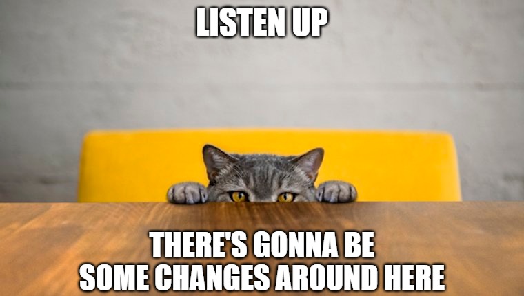 Changes | LISTEN UP; THERE'S GONNA BE
SOME CHANGES AROUND HERE | image tagged in cats,memes,fun,funny,changes,funny memes | made w/ Imgflip meme maker