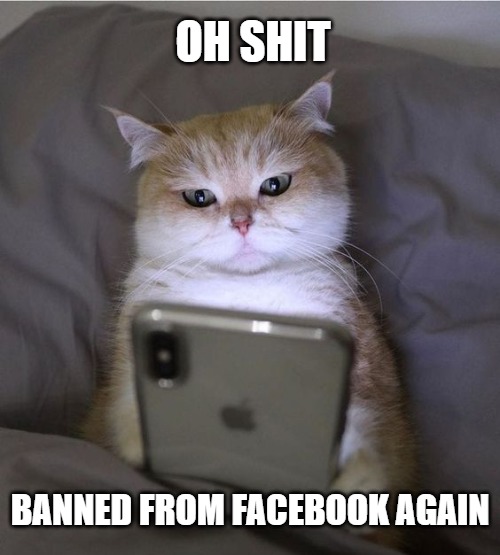 Banned | OH SHIT; BANNED FROM FACEBOOK AGAIN | image tagged in cats,memes,fun,funny,funny memes | made w/ Imgflip meme maker