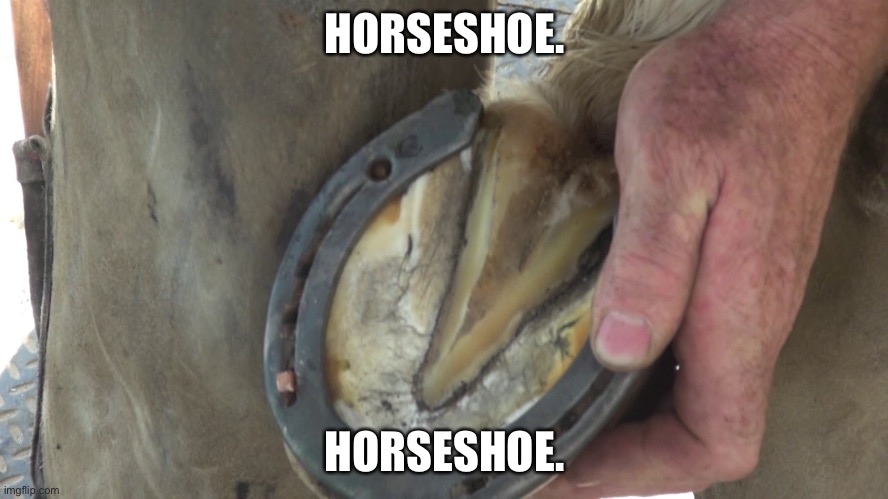 Horseshoe. | HORSESHOE. HORSESHOE. | made w/ Imgflip meme maker