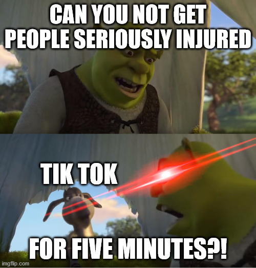 Shrek For Five Minutes |  CAN YOU NOT GET PEOPLE SERIOUSLY INJURED; TIK TOK; FOR FIVE MINUTES?! | image tagged in shrek for five minutes,tik tok,donkey,injured,memes,shrek | made w/ Imgflip meme maker