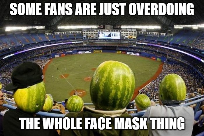 Fans being Fans | SOME FANS ARE JUST OVERDOING; THE WHOLE FACE MASK THING | image tagged in sports,memes,fun,masks,funny,funny memes | made w/ Imgflip meme maker