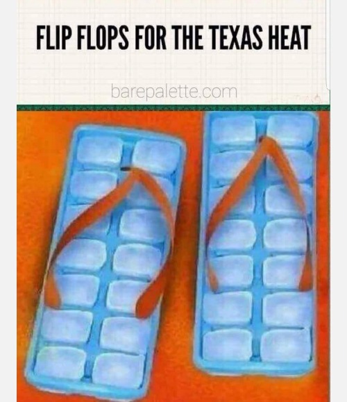 Flip Flops | image tagged in funny memes,reposts,funny,fun,texas,heat | made w/ Imgflip meme maker