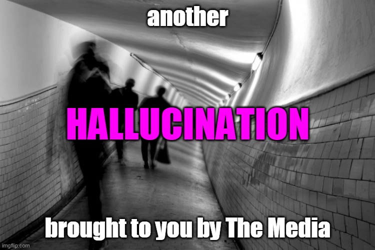 Credits | another; HALLUCINATION; brought to you by The Media | image tagged in propaganda,fake news,mainstream media | made w/ Imgflip meme maker