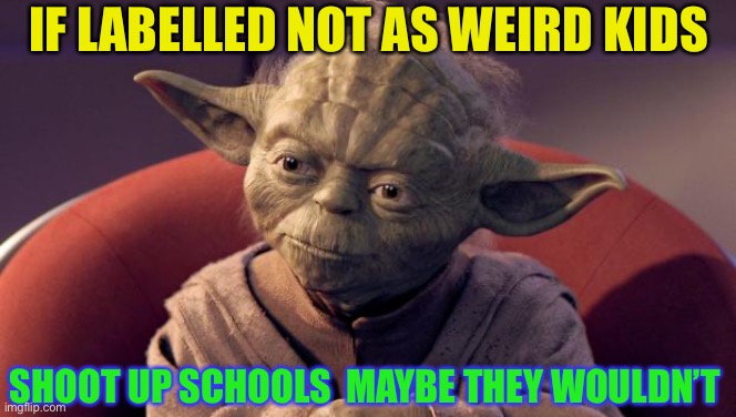 Yoda Wisdom | IF LABELLED NOT AS WEIRD KIDS SHOOT UP SCHOOLS  MAYBE THEY WOULDN’T | image tagged in yoda wisdom | made w/ Imgflip meme maker