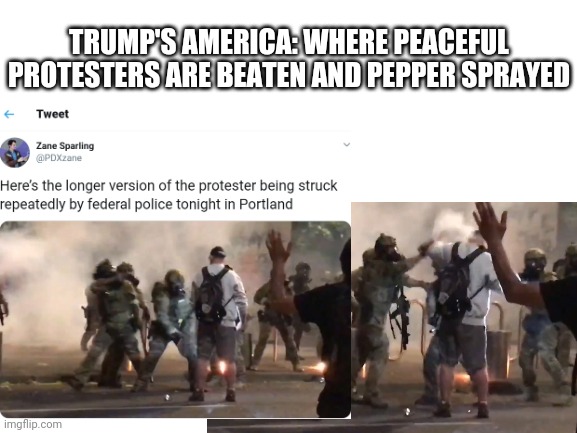 Trump's America | TRUMP'S AMERICA: WHERE PEACEFUL PROTESTERS ARE BEATEN AND PEPPER SPRAYED | image tagged in trump | made w/ Imgflip meme maker