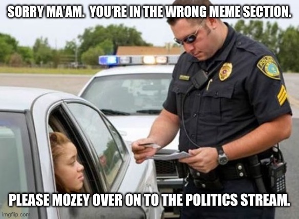 TRAFFIC COP | SORRY MA’AM.  YOU’RE IN THE WRONG MEME SECTION. PLEASE MOZEY OVER ON TO THE POLITICS STREAM. | image tagged in traffic cop | made w/ Imgflip meme maker