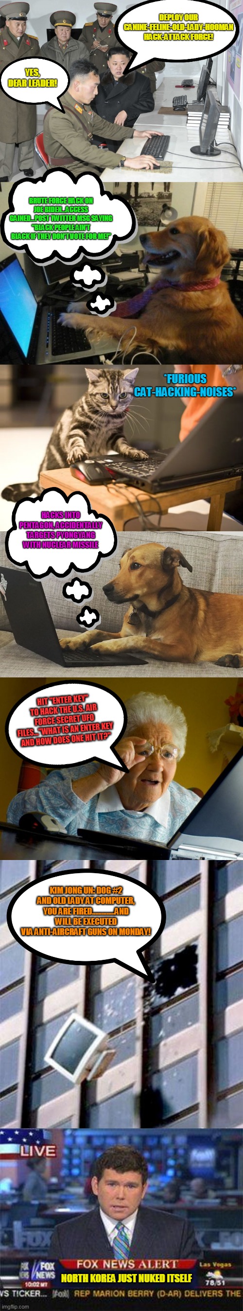 North Korea...what a joke! | DEPLOY OUR CANINE-FELINE-OLD-LADY-HOOMAN HACK-ATTACK FORCE! YES, DEAR LEADER! BRUTE FORCE HACK ON JOE BIDEN...ACCESS GAINED...POST TWITTER MSG SAYING "BLACK PEOPLE AIN'T BLACK IF THEY DON'T VOTE FOR ME!"; *FURIOUS CAT-HACKING-NOISES*; HACKS INTO PENTAGON, ACCIDENTALLY TARGETS PYONGYANG WITH NUCLEAR MISSILE; HIT "ENTER KEY" TO HACK THE U.S. AIR FORCE SECRET UFO FILES..."WHAT IS AN ENTER KEY AND HOW DOES ONE HIT IT?"; KIM JONG UN: DOG #2 AND OLD LADY AT COMPUTER, YOU ARE FIRED..............AND WILL BE EXECUTED VIA ANTI-AIRCRAFT GUNS ON MONDAY! NORTH KOREA JUST NUKED ITSELF | image tagged in old lady at computer finds the internet,fox news alert,computer out window,dog behind a computer,cat computer,typing dog at comp | made w/ Imgflip meme maker