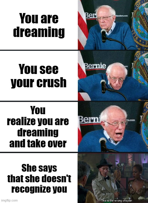 computer, end simulation | You are dreaming; You see your crush; You realize you are dreaming and take over; She says that she doesn't recognize you | image tagged in bernie sanders reaction nuked | made w/ Imgflip meme maker