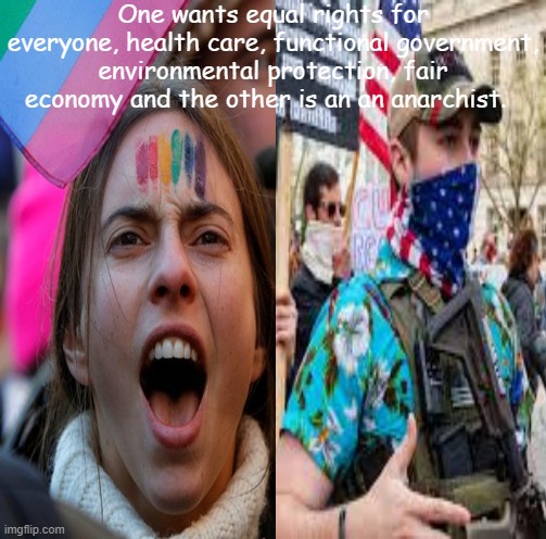 pol two | One wants equal rights for everyone, health care, functional government, environmental protection, fair economy and the other is an an anarchist. | image tagged in protest | made w/ Imgflip meme maker