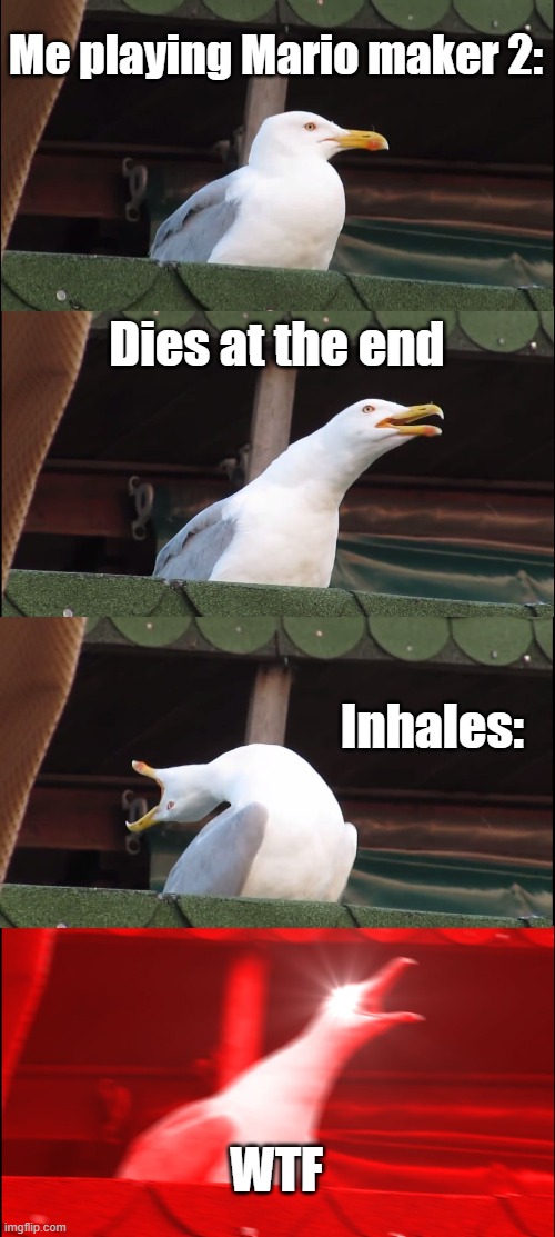 Yo true | Me playing Mario maker 2:; Dies at the end; Inhales:; WTF | image tagged in memes,inhaling seagull | made w/ Imgflip meme maker