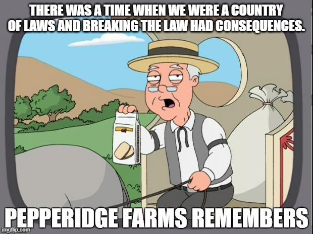 Things have gotten ridiculous in the cities of the USA... | THERE WAS A TIME WHEN WE WERE A COUNTRY OF LAWS AND BREAKING THE LAW HAD CONSEQUENCES. | image tagged in pepperidge farms remembers | made w/ Imgflip meme maker