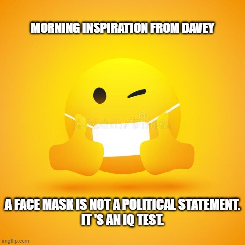 Face Mask | MORNING INSPIRATION FROM DAVEY; A FACE MASK IS NOT A POLITICAL STATEMENT.
IT 'S AN IQ TEST. | image tagged in facemask,covid19,covid-19,covid 19,covid | made w/ Imgflip meme maker