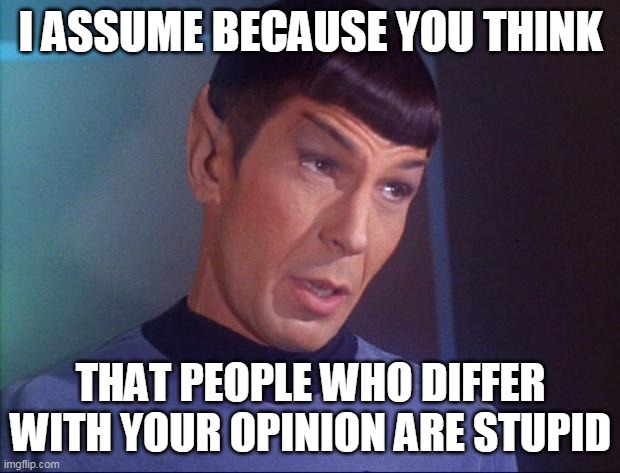 Spock | I ASSUME BECAUSE YOU THINK THAT PEOPLE WHO DIFFER WITH YOUR OPINION ARE STUPID | image tagged in spock | made w/ Imgflip meme maker