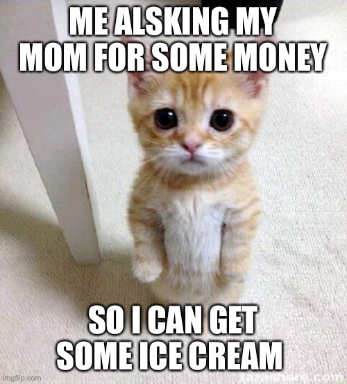 Me alsking my mom | ME ALSKING MY MOM FOR SOME MONEY; SO I CAN GET SOME ICE CREAM | image tagged in memes,cute cat | made w/ Imgflip meme maker
