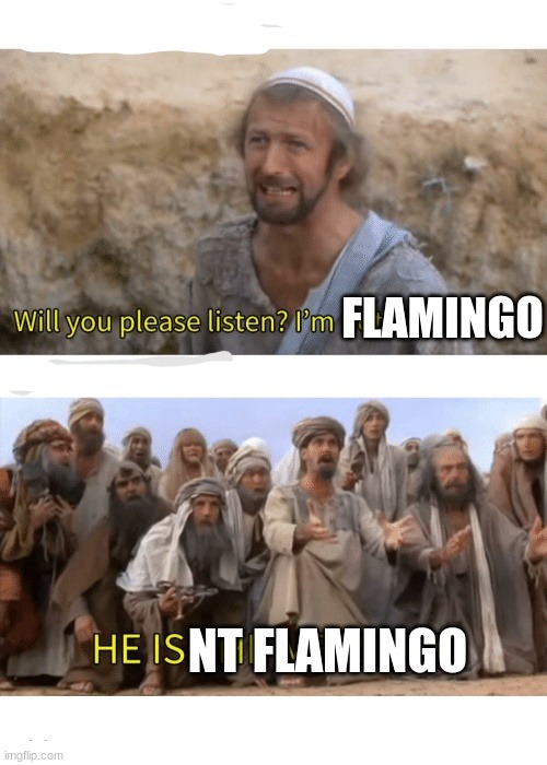 He is the messiah | FLAMINGO NT FLAMINGO | image tagged in he is the messiah | made w/ Imgflip meme maker