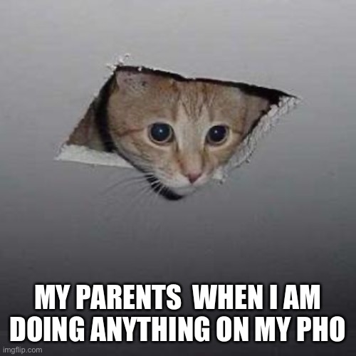 My parents | MY PARENTS  WHEN I AM DOING ANYTHING ON MY PHONE | image tagged in memes,ceiling cat,parents | made w/ Imgflip meme maker