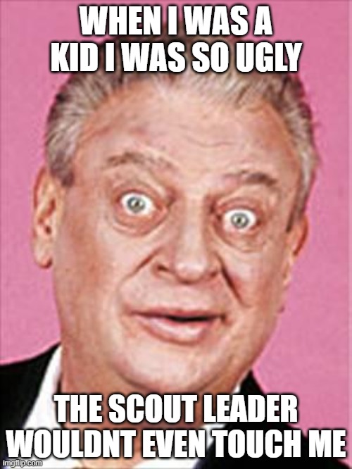 damnnnn | WHEN I WAS A KID I WAS SO UGLY; THE SCOUT LEADER WOULDNT EVEN TOUCH ME | image tagged in rodney dangerfield | made w/ Imgflip meme maker