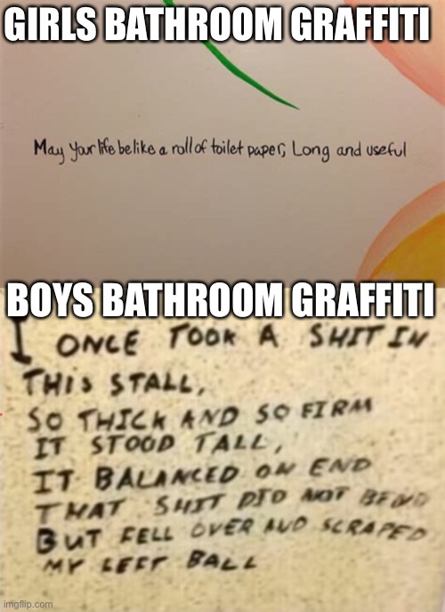 GIRLS BATHROOM GRAFFITI; BOYS BATHROOM GRAFFITI | image tagged in bathroom,potty humor,graffiti,girls vs boys,memes,meme | made w/ Imgflip meme maker