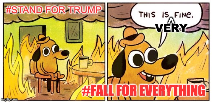 Trump's America | #STAND FOR TRUMP; VERY; ^; #FALL FOR EVERYTHING | image tagged in trump,corruption,afraid,confused,america | made w/ Imgflip meme maker