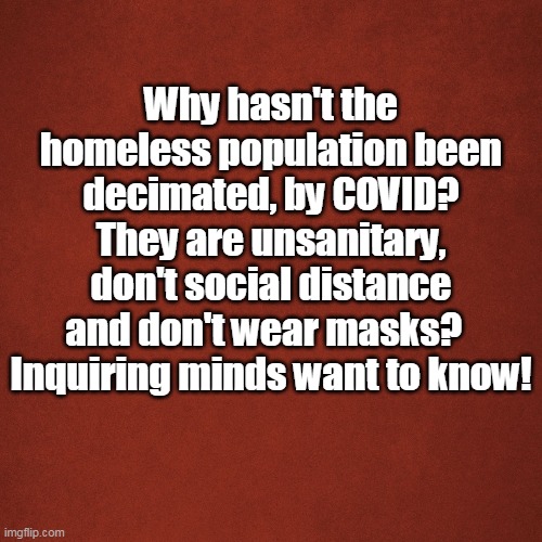 Why no homeless decimation | Why hasn't the homeless population been decimated, by COVID? They are unsanitary, don't social distance
and don't wear masks?  
Inquiring minds want to know! | image tagged in blank red background | made w/ Imgflip meme maker