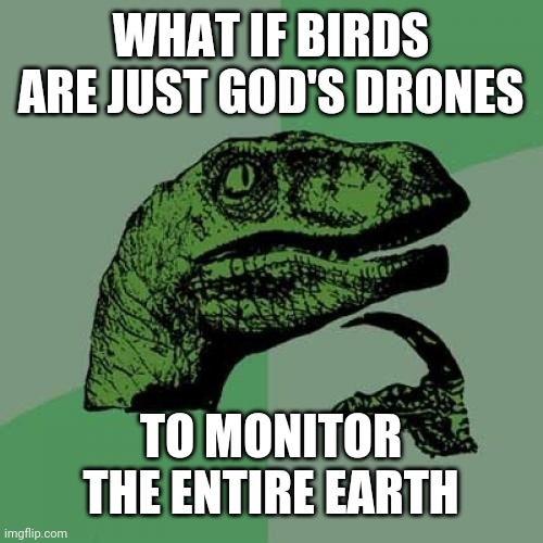 Spies in Disguise | WHAT IF BIRDS ARE JUST GOD'S DRONES; TO MONITOR THE ENTIRE EARTH | image tagged in memes,philosoraptor,birds,god,drones | made w/ Imgflip meme maker