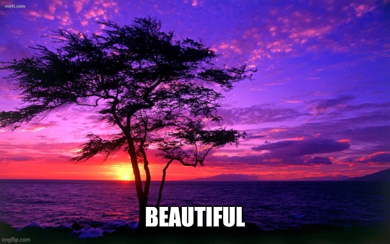 Sunrise purple beauty | BEAUTIFUL | image tagged in sunrise purple beauty | made w/ Imgflip meme maker