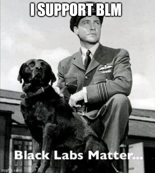 BLM | I SUPPORT BLM | image tagged in raf | made w/ Imgflip meme maker