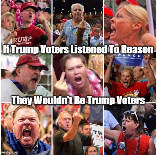 "If Trump Voters Listened To Reason..." | If Trump Voters Listened To Reason; They Wouldn't Be Trump Voters | image tagged in trump voters,reason,rationality,reasonability | made w/ Imgflip meme maker