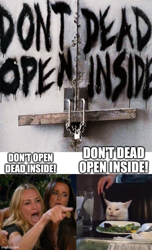 Don't dead open inside! | DON'T DEAD OPEN INSIDE! DON'T OPEN DEAD INSIDE! | image tagged in memes,woman yelling at cat,funny,the walking dead,too many tags | made w/ Imgflip meme maker
