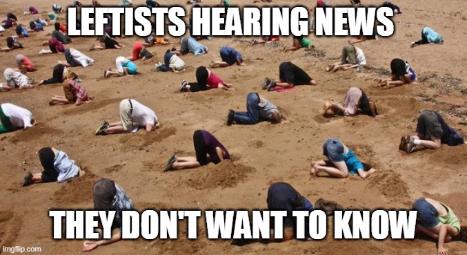 Heads in the Sand | LEFTISTS HEARING NEWS THEY DON'T WANT TO KNOW | image tagged in heads in the sand | made w/ Imgflip meme maker