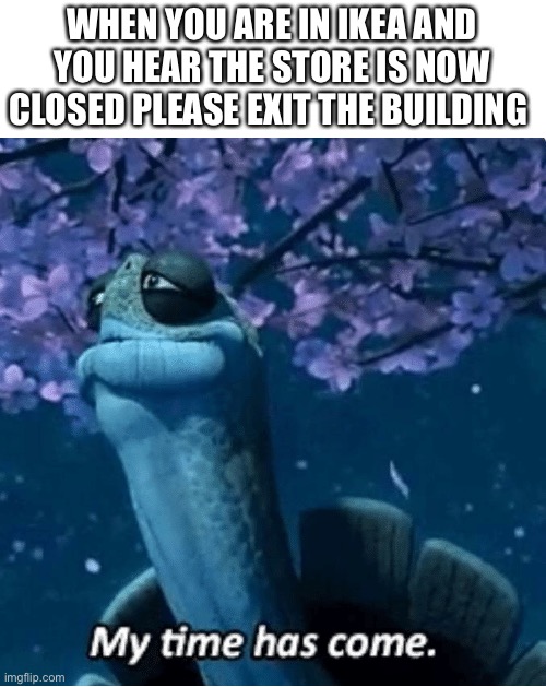 Ikea scp 3009 | WHEN YOU ARE IN IKEA AND YOU HEAR THE STORE IS NOW CLOSED PLEASE EXIT THE BUILDING | image tagged in my time has come | made w/ Imgflip meme maker