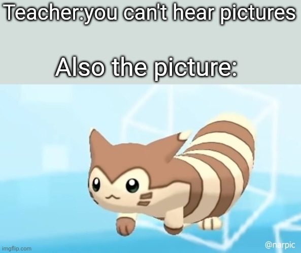 Furret Walcc | Teacher:you can't hear pictures; Also the picture: | image tagged in furret walcc | made w/ Imgflip meme maker